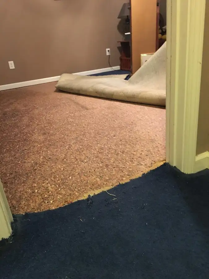 Carpet pad removal revealing water damage during Water Mitigation Services in Annapolis Neck