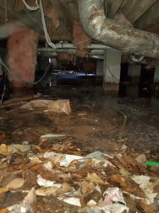 Crawl space flood assessment for Leak Detection & Repair in Annapolis Neck