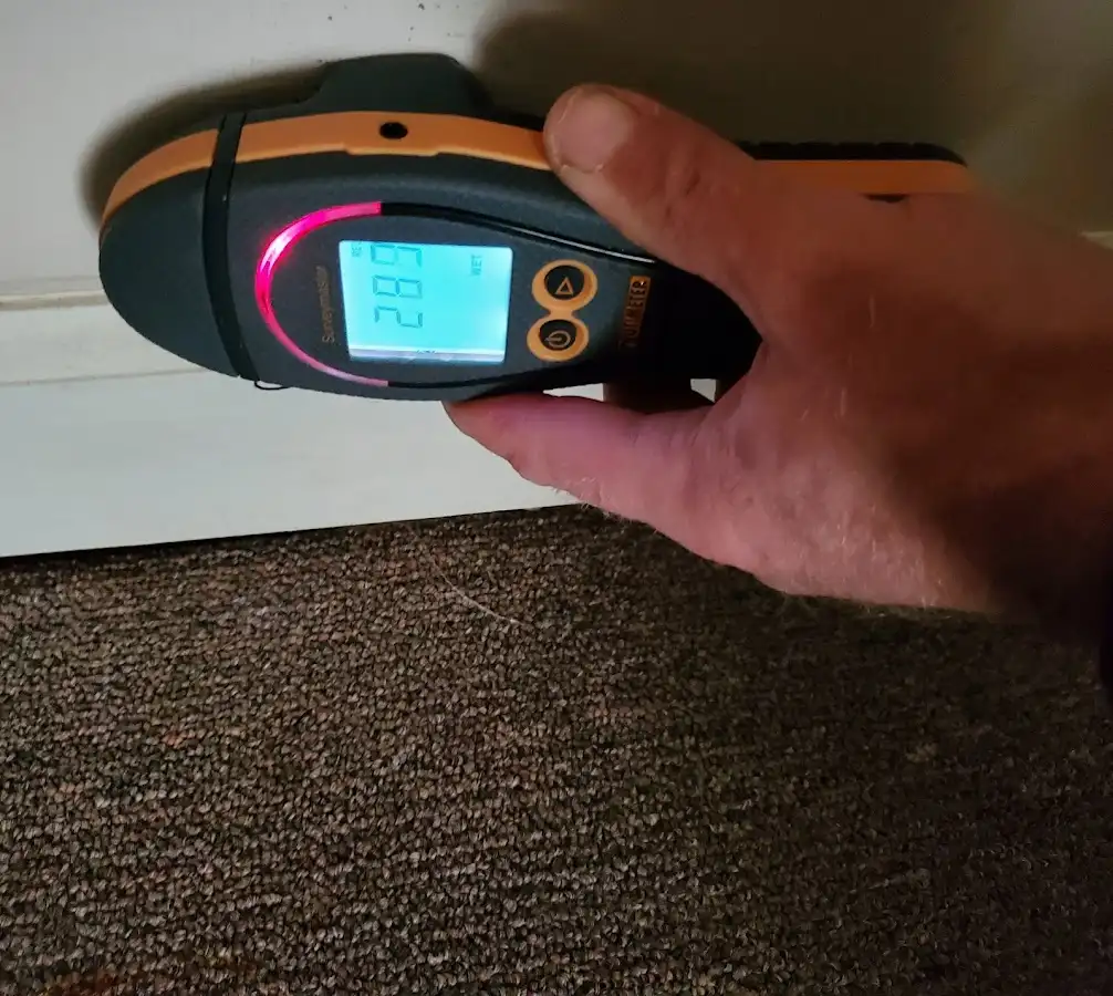 Moisture detection at baseboard during Sewage Cleanup & Sanitation in Annapolis Neck
